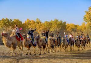 china-xinjiang-hotan-bosque-de-populus-euphratica--101002026102275000200