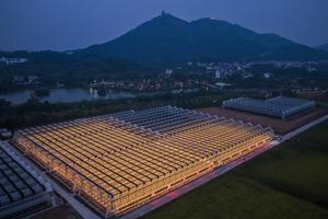 china-zhejiang-jinhua-agricultura-inteligente-parq-101002026102875000296
