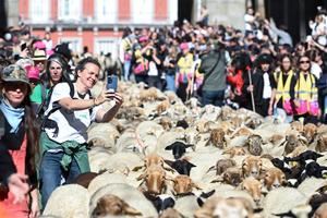 espana-madrid-fiesta-de-la-trashumancia-101002026102675000118