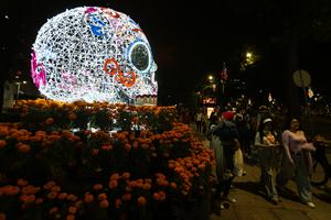 mexico-ciudad-de-mexico-dia-de-muertos-preparativo-101002026102475000370
