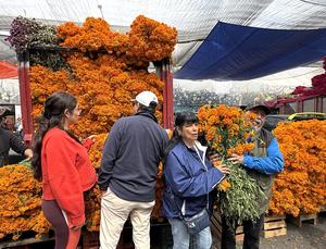 mexico-ciudad-de-mexico-dia-de-muertos-preparativo-101002026102475000395