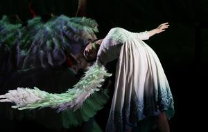 mexico-ciudad-de-mexico-drama-de-danza-chino-el-es-101002026102475000106