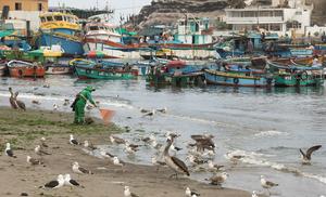 peru-lima-pesca-101002026102275000373