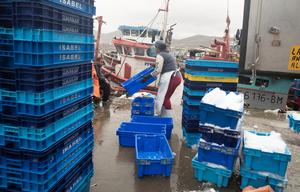 peru-lima-pesca-101002026102275000375