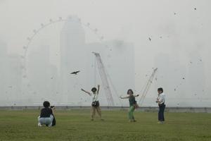 singapur-vida-cotidiana-bruma-101002026101575000252